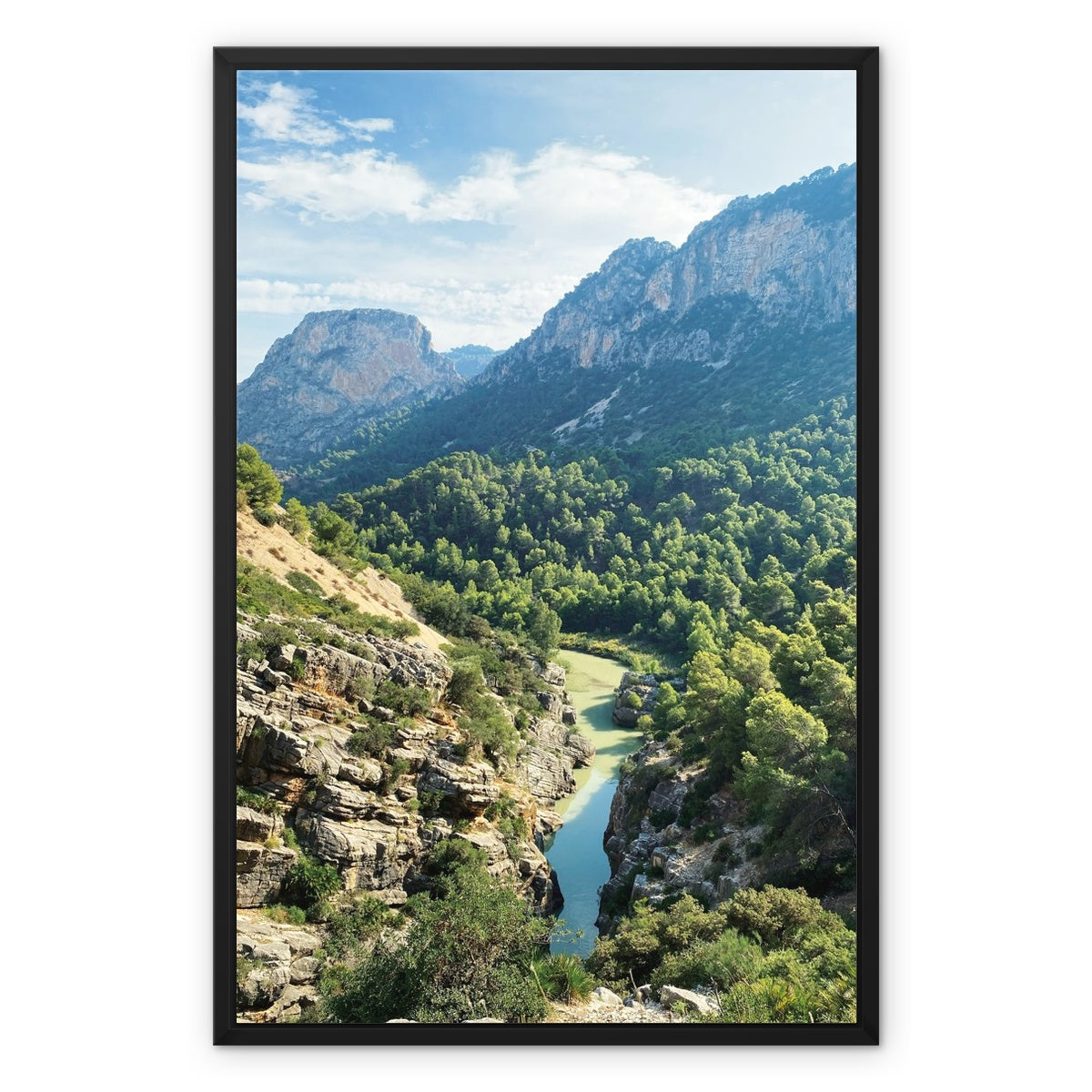 DIVINE NATURE FRAMED CANVAS